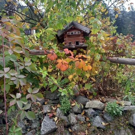 公寓 Haus Breitfuss Enzenstall