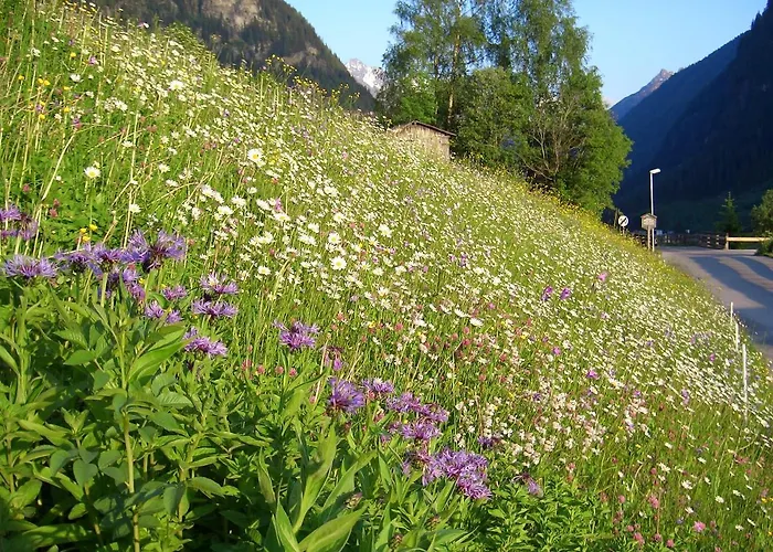 Haus Breitfuss * Enzenstall