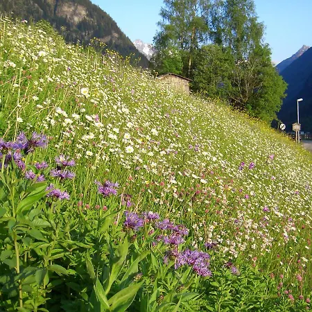 Haus Breitfuss * Enzenstall
