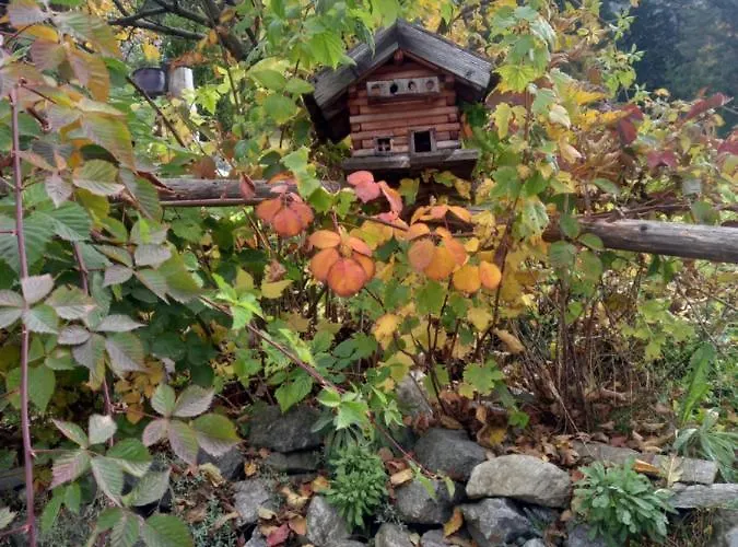 Lejlighed Haus Breitfuss Enzenstall